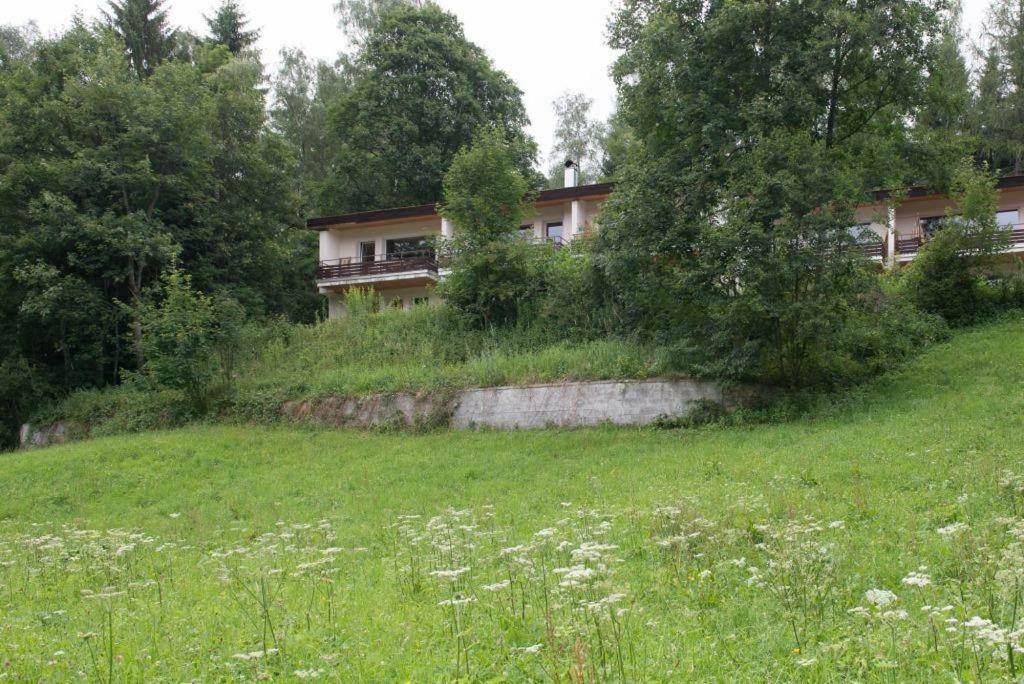 Birkenhof - Schimek Apartamento Bürserberg Exterior foto
